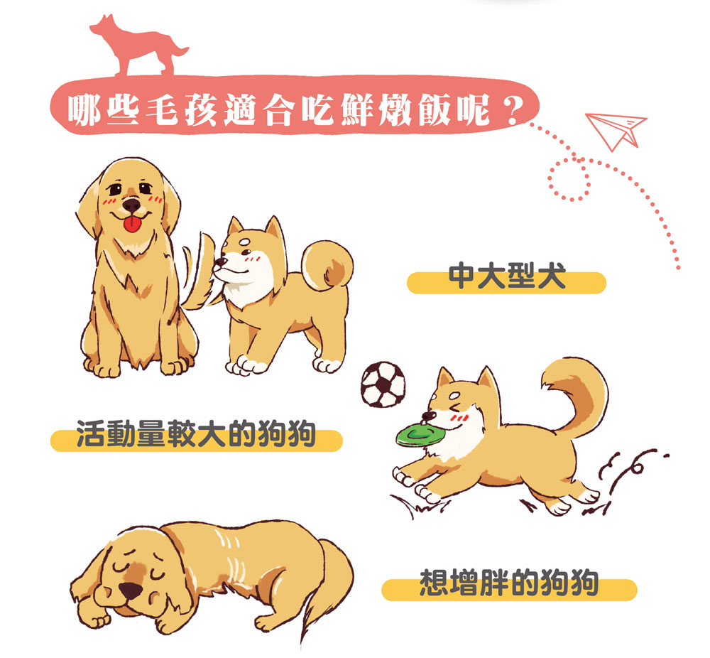 鮮燉飯300g 鯊魚 Furkidshop 毛孩子的店 鮮燉飯300g 鯊魚 Furkidshop 毛孩子的店